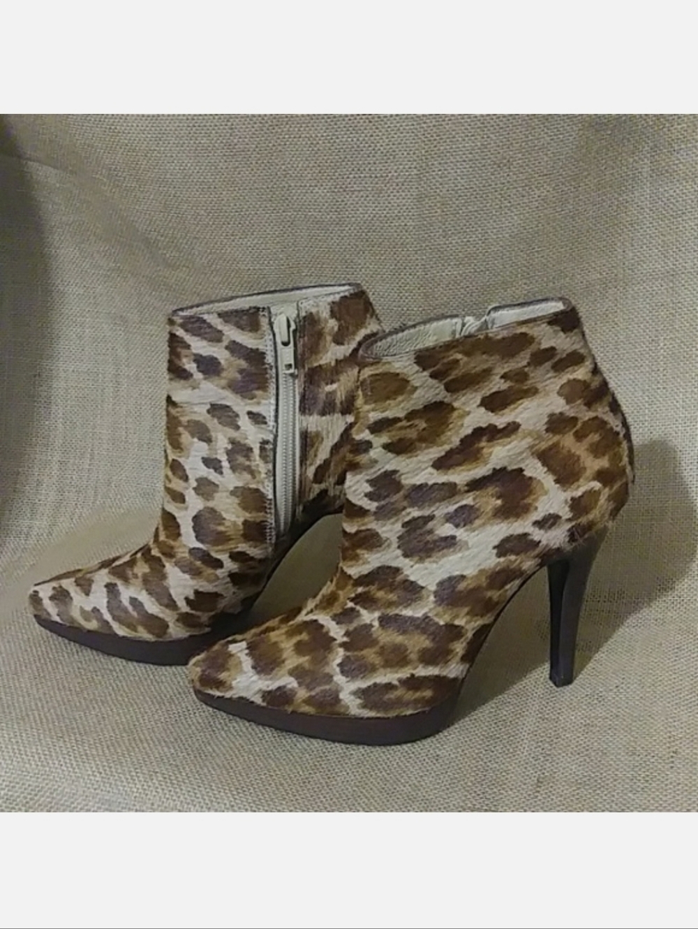 Steve Madden Leopard Animal Print Sexy Boots Booties Size 6 Leather SURVEY 1 EUC